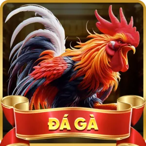 Đa dạng trò chơi 678win
