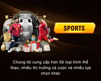 Đa dạng trận đấu và trường gà